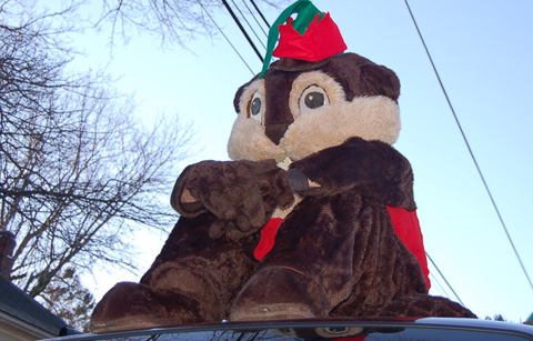 Buddy Beaver sighting in North Attleboro parade!